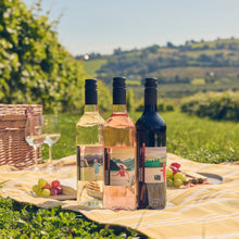 Load image into Gallery viewer, Three wine bottles on a picnic blanket with a scenic background