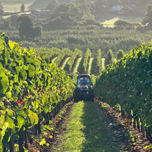 Load image into Gallery viewer, Tractor in a vineyard with rows of green grapevines.